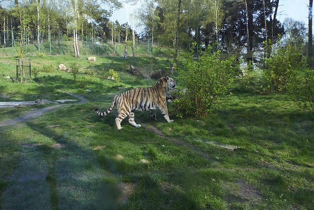 Tierpark Lüneburg