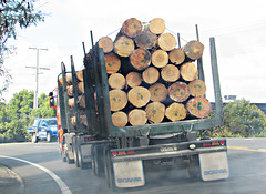 Logging Truck and Trailer