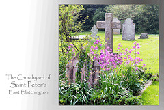 St Peter's Churchyard  - East Blatchingtom - 21.4.2014