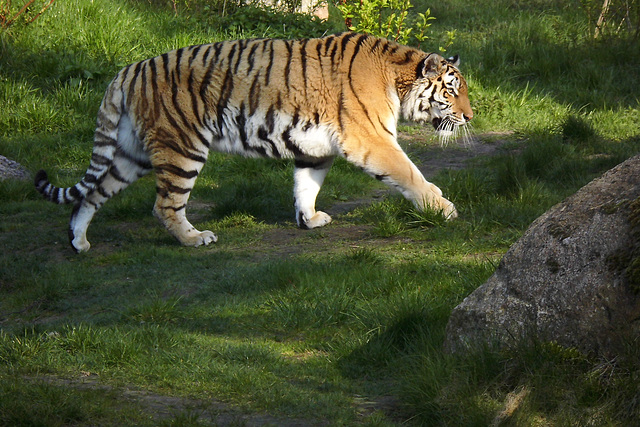 Tierpark Lüneburg