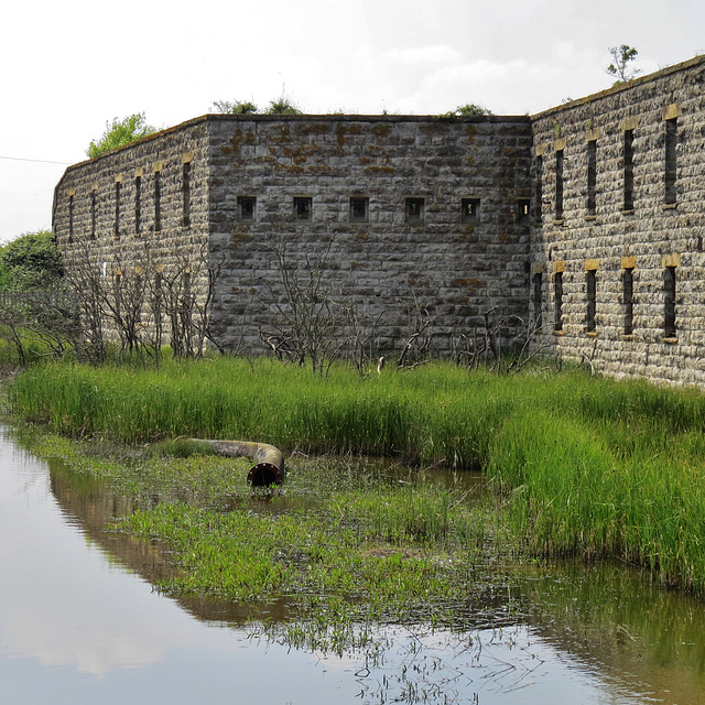 cliffe fort, kent