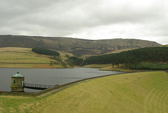 IMGP7352