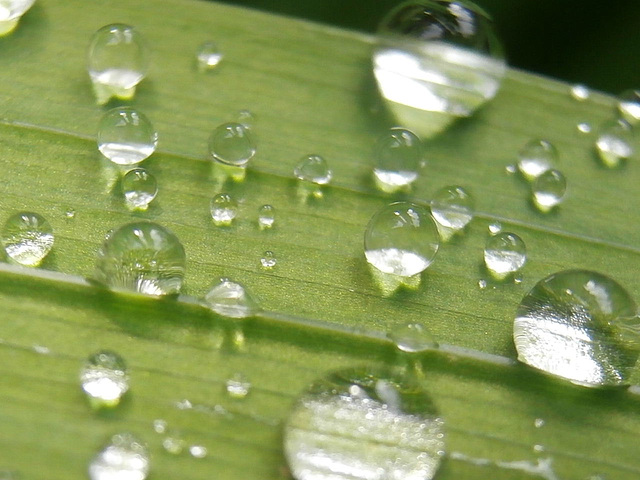 After the rain