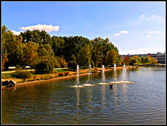 Lago de Sarriguren (Navarra)-1