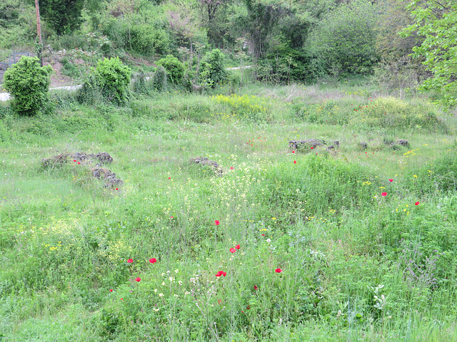 Vestiges d'une villa romaine.