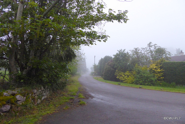 Test images with Panasonic Lumix DMCTZ60