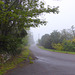 Test images with Panasonic Lumix DMCTZ60