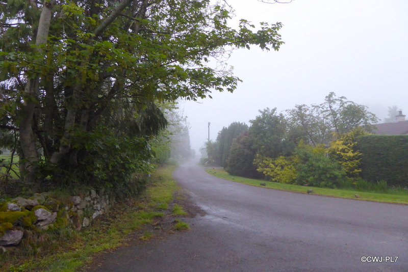Test images with Panasonic Lumix DMCTZ60