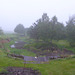 Test images with Panasonic Lumix DMCTZ60