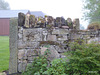Test images with Panasonic Lumix DMCTZ60