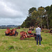 Mirboo tractor graveyard