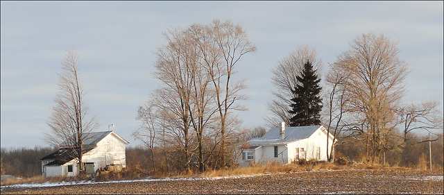 House & Barn, M-43