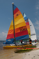 Hobie Cats