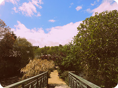 jardin de PONT AVEN,