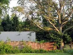 Fence @ Dewitt Golf