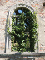 Verwunschenes Fenster