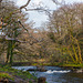 River Dart - 20140326