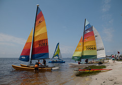 Hobie Cats