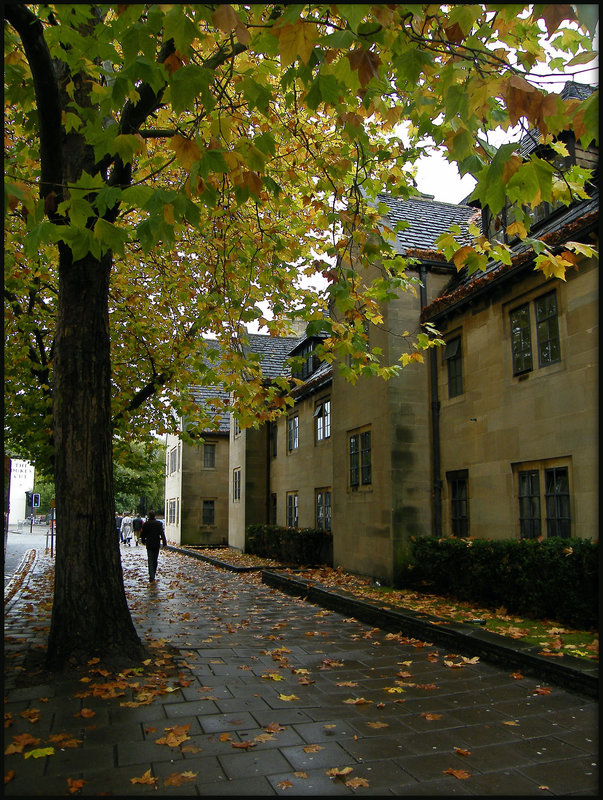 Oxford paved with gold