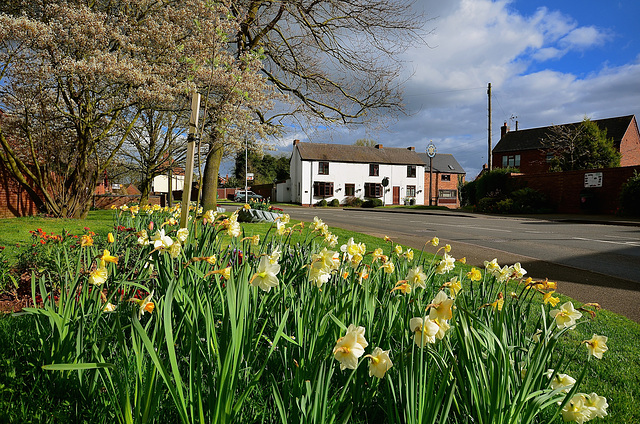 Haughton, Staffordshire