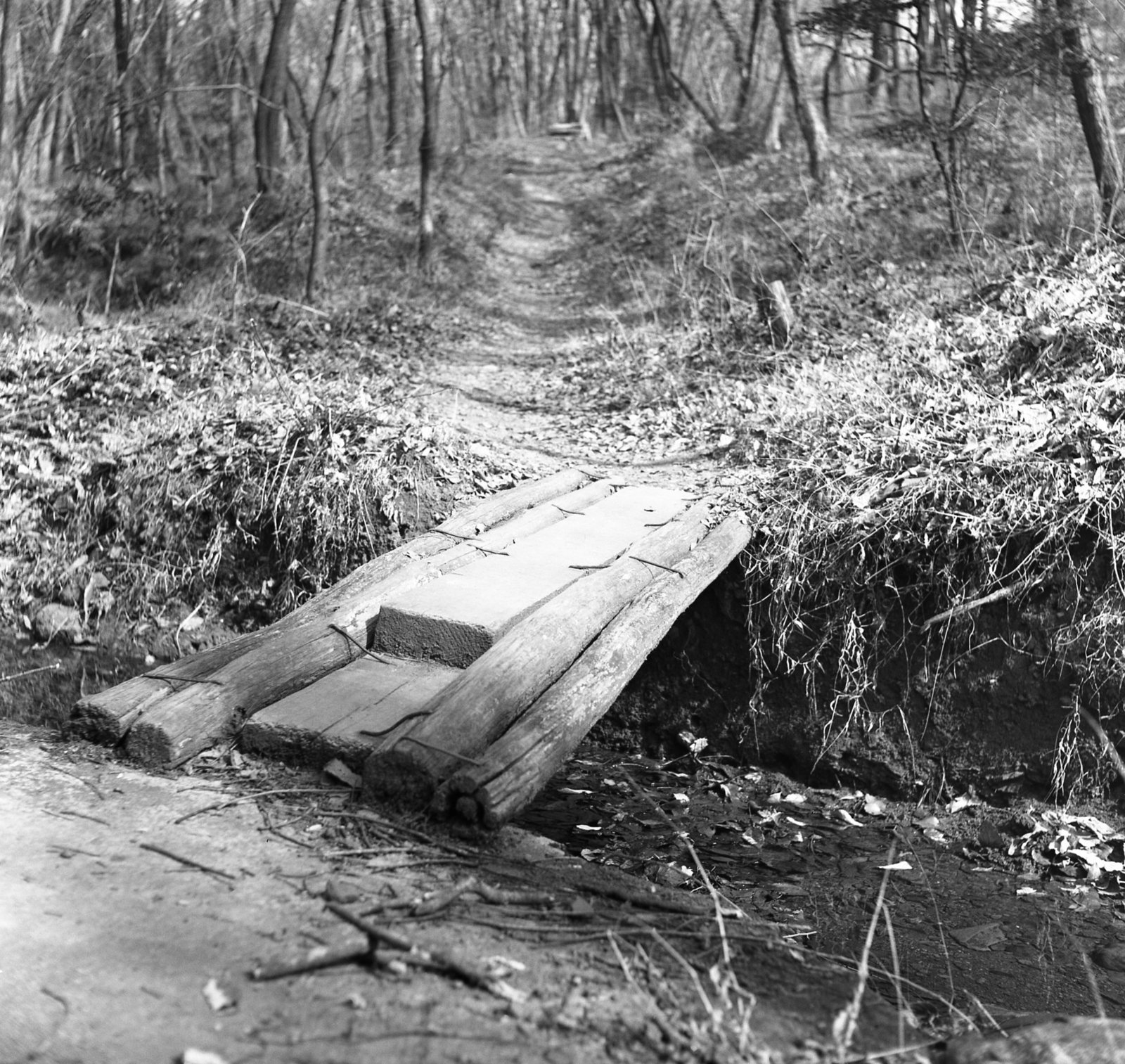 Log bridge