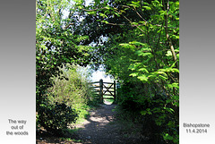 The way out of the woods - Bishopstone - East Sussex - 11.4.2014
