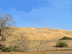 Imperial Sand Dunes