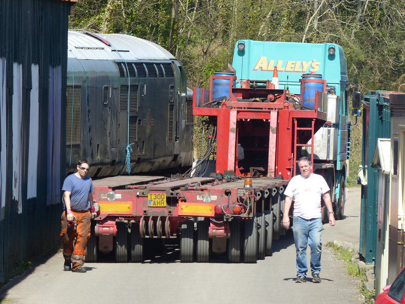 Allelys in Action (4) - 15 April 2014