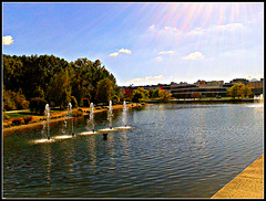 Lago de Sarriguren (Navarra)-3