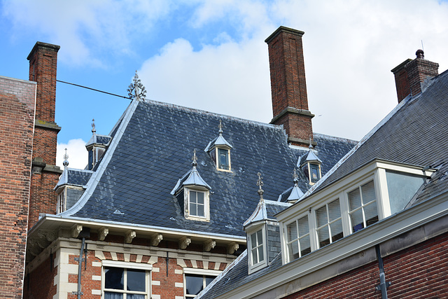 Roof of the city hall of Haarlem
