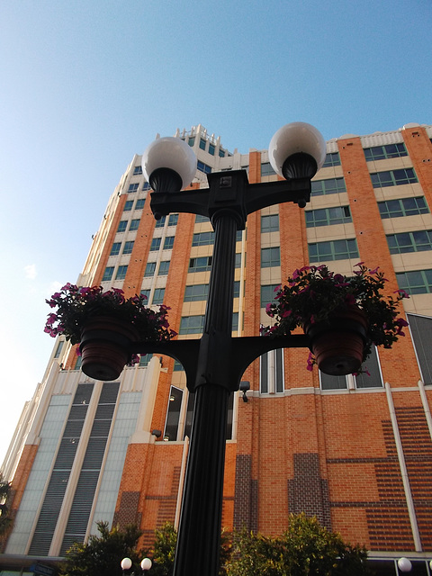 Street lamp & flowers / Fleurs & lampadaire.