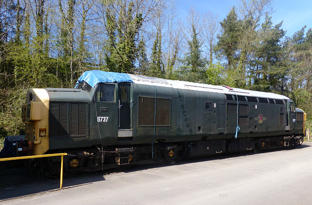6737 at Buckfastleigh - 15 April 2014