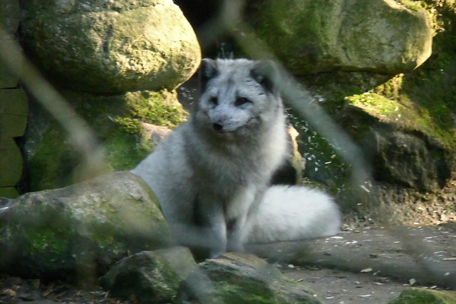 Tierpark Lüneburg