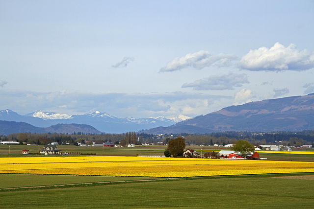 The Skagit Valley