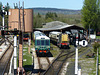 Buckfastleigh (2) - 15 April 2014