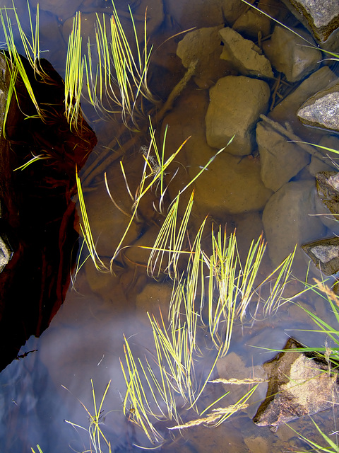 Swamper Lake