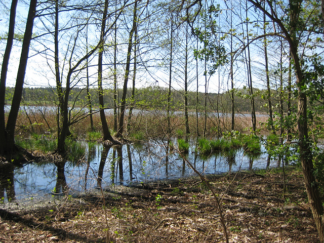 Kähnsdorfer See