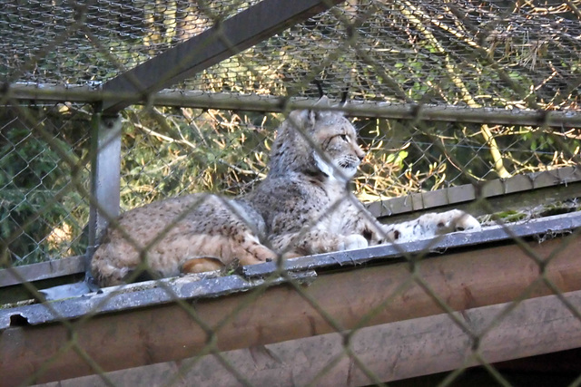 Tierpark Lüneburg