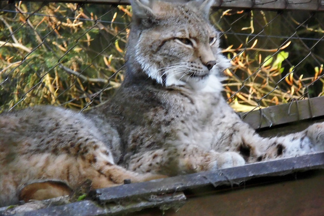 Tierpark Lüneburg