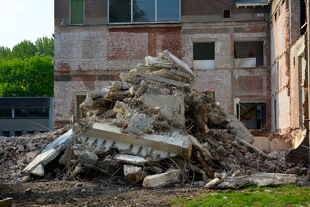 Renovation of the old Anatomy Lab