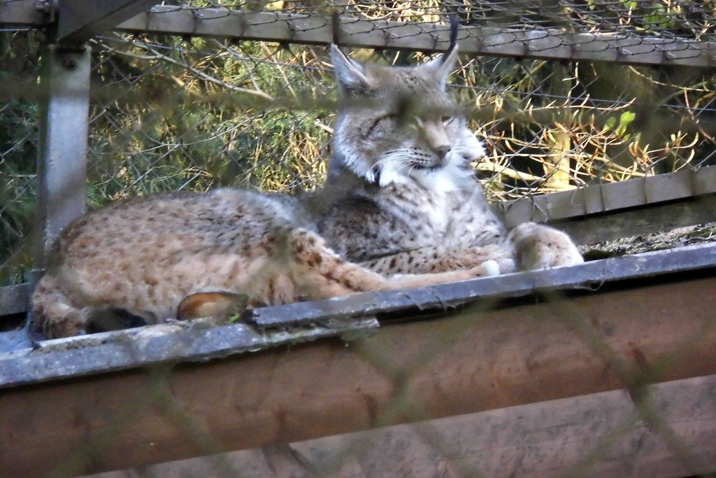 Tierpark Lüneburg