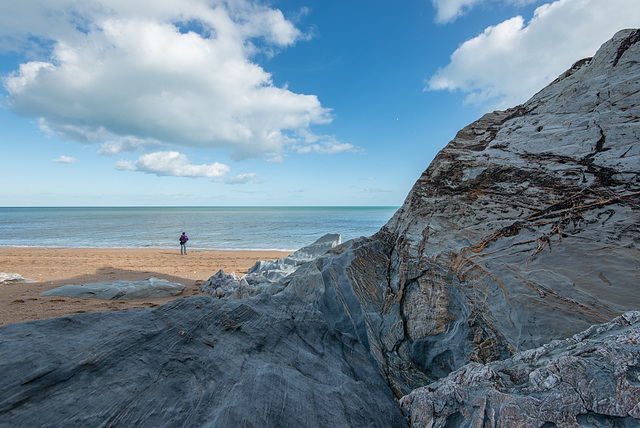 Beesands - 20140323