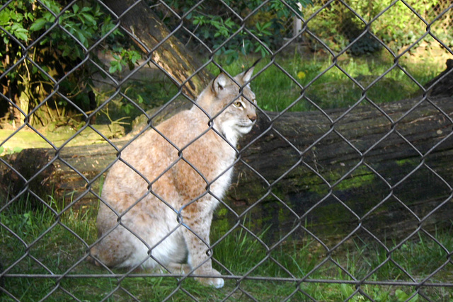 Tierpark Lüneburg