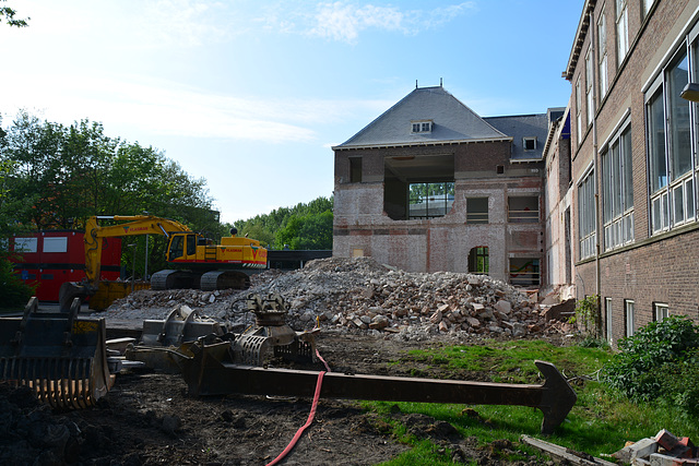 Renovation of the old Anatomy Lab