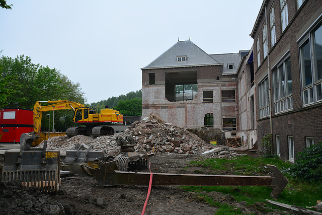 Renovation of the old Anatomy Lab