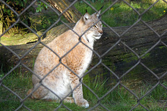 Tierpark Lüneburg