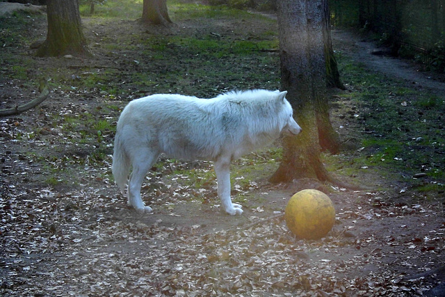 Tierpark Lüneburg