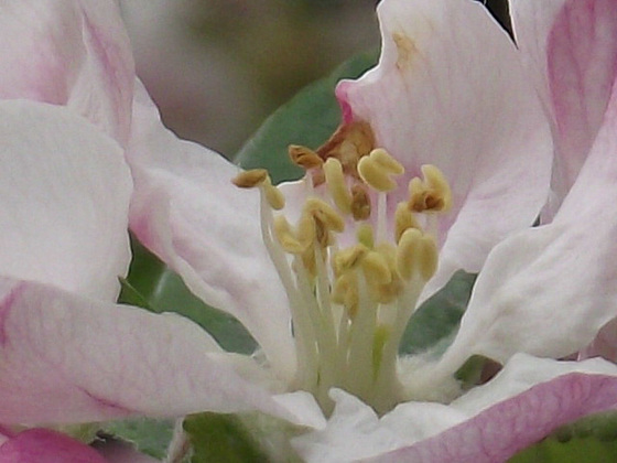 DSCF3122