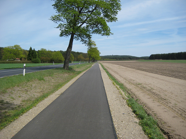 Radweg bei Schönhagen
