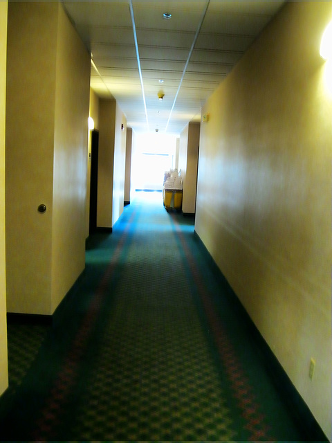 the sadness of motel halls